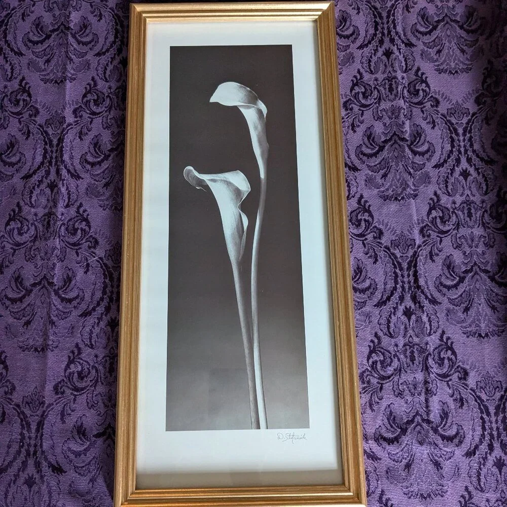 Dick & Diane Stefanich framed print "Calla Lilies" - Picture 5 of 6